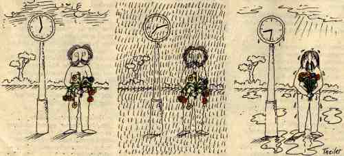 Wolfgang Theiler / aus 'Eulenspiegel' 26/1986