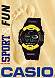 Link zu Casio
